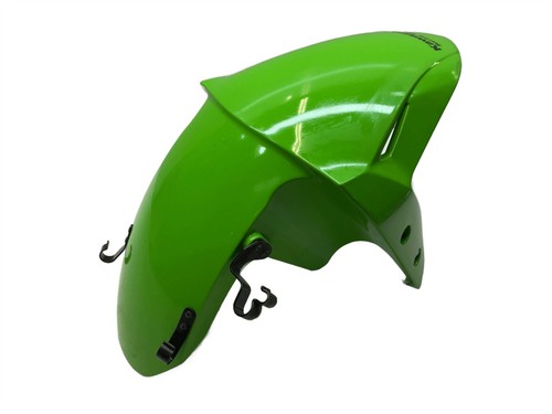 2025 kawasaki ninja zx4rr - 2025,